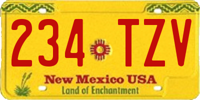 NM license plate 234TZV