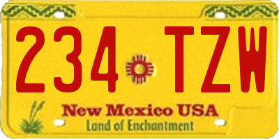 NM license plate 234TZW
