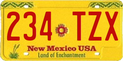 NM license plate 234TZX