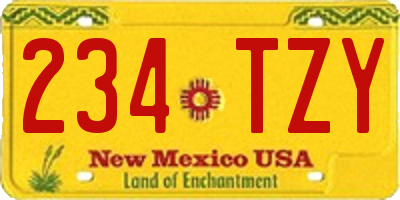 NM license plate 234TZY