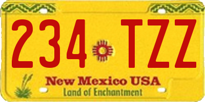 NM license plate 234TZZ