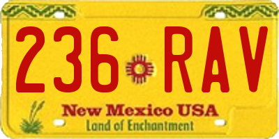 NM license plate 236RAV