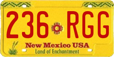 NM license plate 236RGG