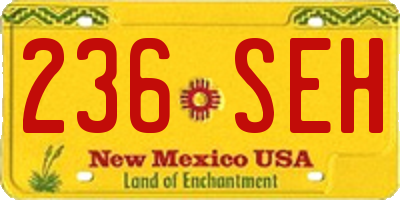 NM license plate 236SEH