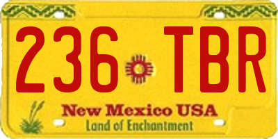 NM license plate 236TBR