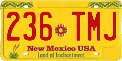 NM license plate 236TMJ