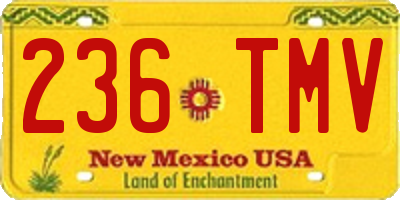 NM license plate 236TMV