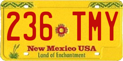 NM license plate 236TMY
