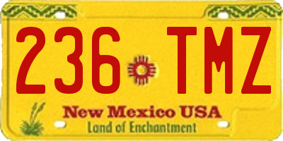NM license plate 236TMZ