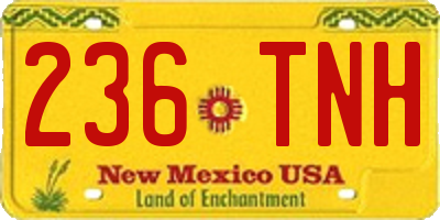 NM license plate 236TNH