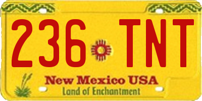 NM license plate 236TNT