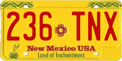 NM license plate 236TNX