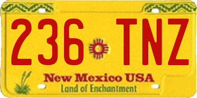 NM license plate 236TNZ