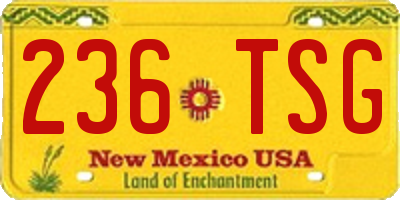 NM license plate 236TSG