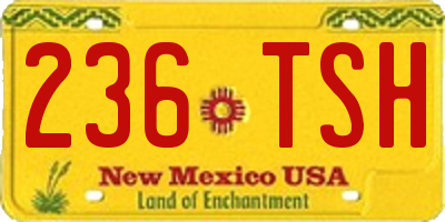 NM license plate 236TSH
