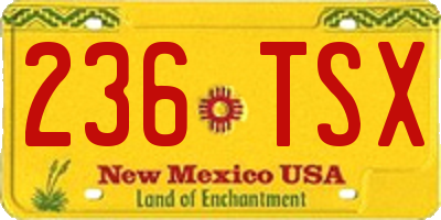 NM license plate 236TSX