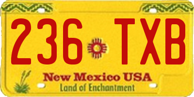 NM license plate 236TXB
