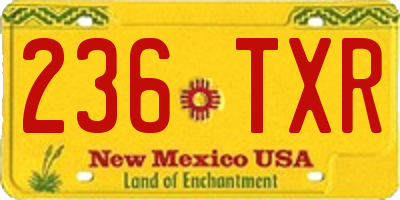 NM license plate 236TXR