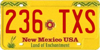 NM license plate 236TXS