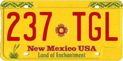 NM license plate 237TGL