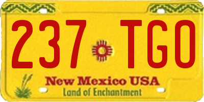 NM license plate 237TGO