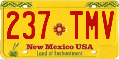 NM license plate 237TMV