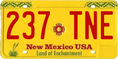 NM license plate 237TNE