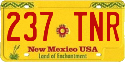 NM license plate 237TNR