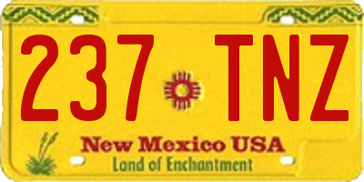 NM license plate 237TNZ