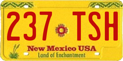 NM license plate 237TSH