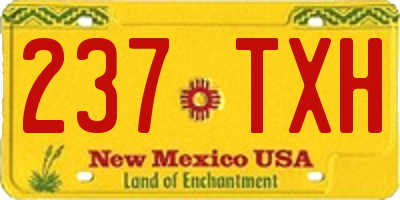 NM license plate 237TXH