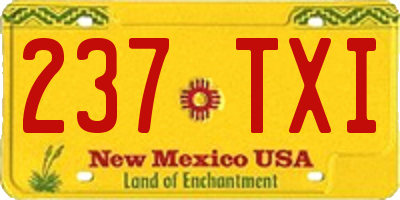 NM license plate 237TXI