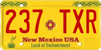 NM license plate 237TXR