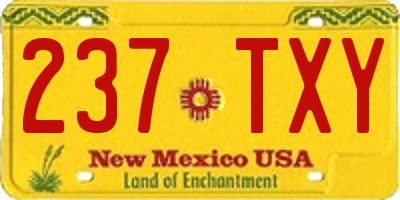 NM license plate 237TXY