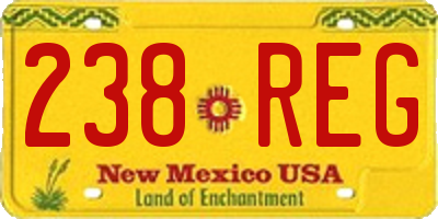 NM license plate 238REG