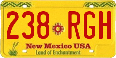 NM license plate 238RGH
