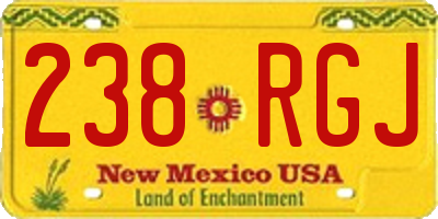 NM license plate 238RGJ