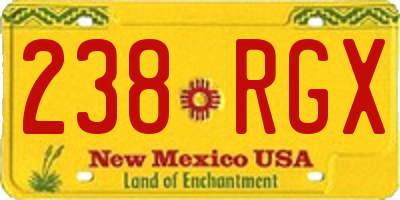 NM license plate 238RGX