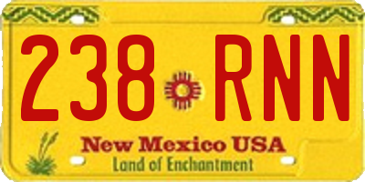 NM license plate 238RNN