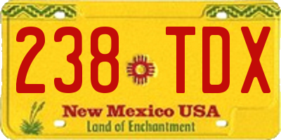 NM license plate 238TDX