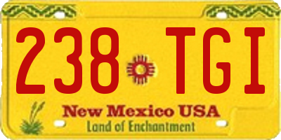 NM license plate 238TGI