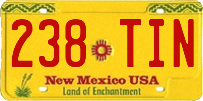 NM license plate 238TIN