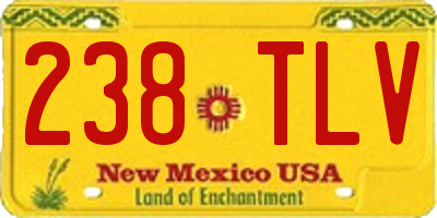 NM license plate 238TLV