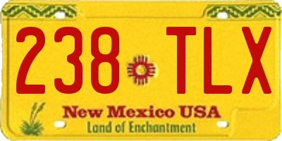 NM license plate 238TLX