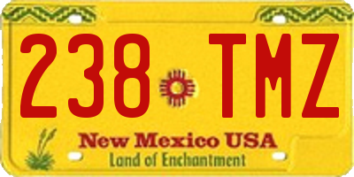 NM license plate 238TMZ