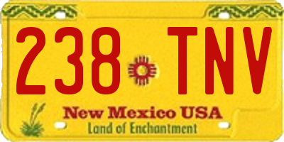 NM license plate 238TNV