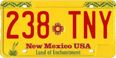 NM license plate 238TNY