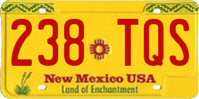 NM license plate 238TQS