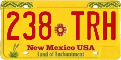 NM license plate 238TRH
