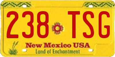 NM license plate 238TSG